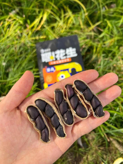 逐南味花生 商品图4