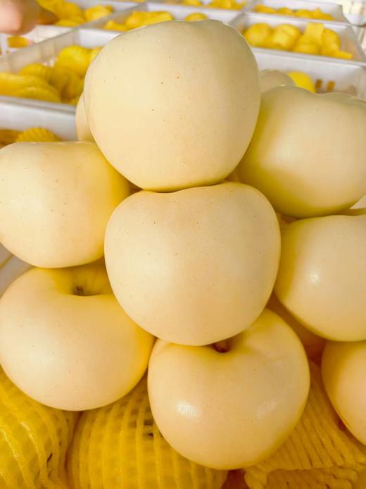 【严选】【金新农】【正鲜山东水果】山东皮薄肉厚鲜嫩香甜奶油富士苹果4.5斤 / 8.5斤   （厂家直发） 商品图3