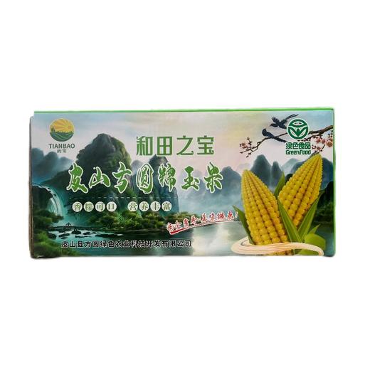 阗宝 糯玉米 10个/箱 真空包装香糯可口 商品图0