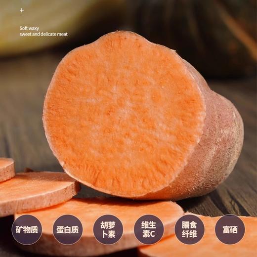 【严选】【金新农】【山东正宗烟薯25号 糖心流油 烤薯专用 软糯香甜 无丝无筋 】山东正宗烟薯25号蜜薯红地瓜农家烤红薯4.5斤装   （厂家直发） 商品图2