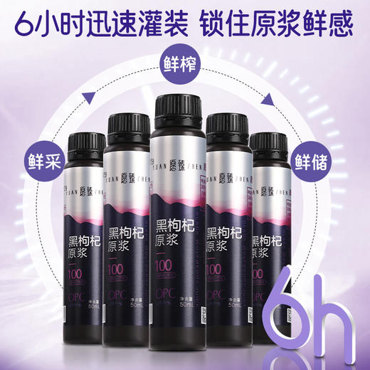 愿臻NFC黑枸杞原浆 50ml*10支*1盒 商品图2