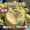 【严选】【金新农】【正鲜山东水果】山东脆甜多汁青森苹果3斤装 / 4.5斤装    （厂家直发） 商品缩略图2