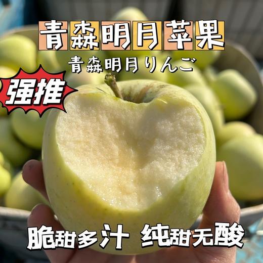 【严选】【金新农】【正鲜山东水果】山东脆甜多汁青森苹果3斤装 / 4.5斤装    （厂家直发） 商品图2
