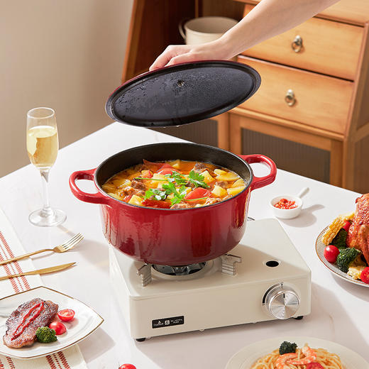 康宁（VISIONS）悦厨珐琅锅VS-DG24J022H/KZ 商品图4