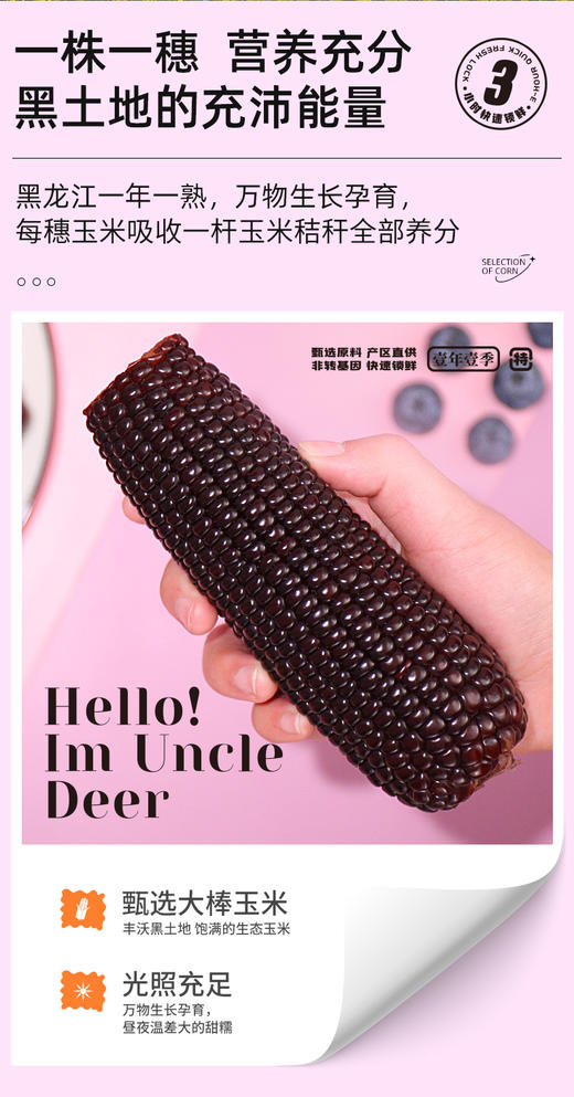 晋糯20(有机黑糯米)(250g*10支/盒)【GY】 商品图2