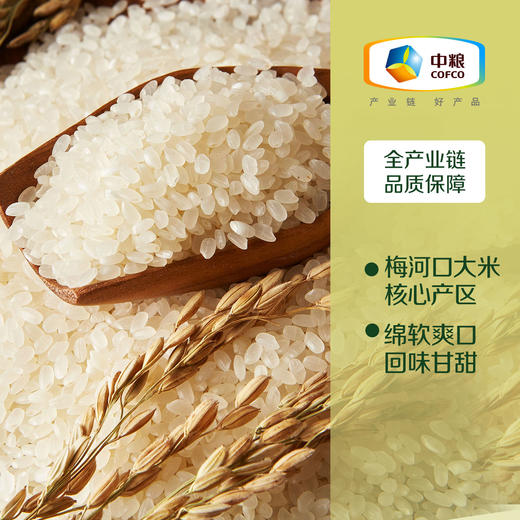 中粮1号初萃东北大米5kg（新老包装随机） 商品图3