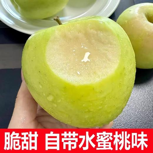 【严选】【金新农】【正鲜山东水果】山东脆甜多汁青森苹果3斤装 / 4.5斤装    （厂家直发） 商品图0