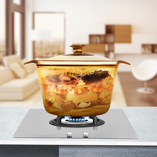 康宁（VISIONS）晶彩系列时尚养生锅3.8LVS-38-FL/E/LN/ZK 商品图2