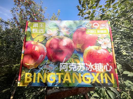 2025年新疆阿克苏冰糖心苹果 商品图8