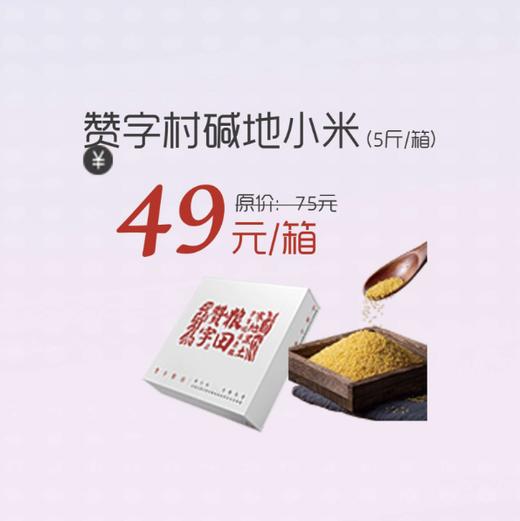 【哈尔滨发货+10元】丨25年双十一购物节·赞字村碱地小米5斤/49元丨下单后排单陆续发货 商品图0