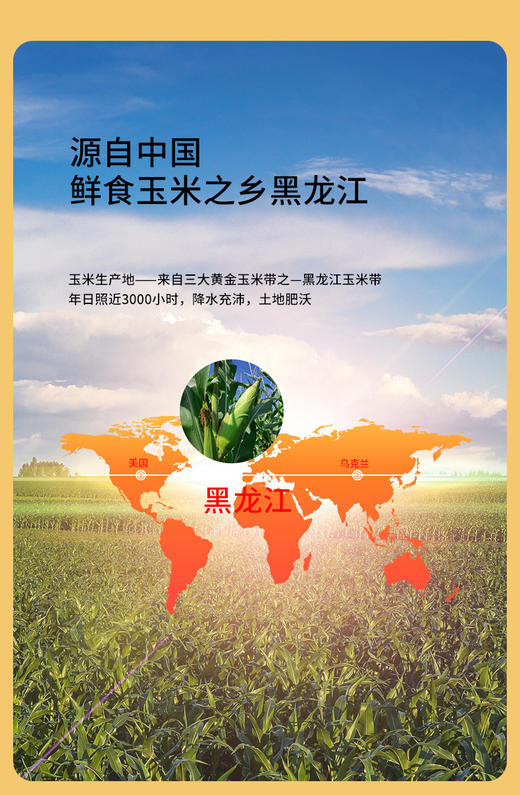 白糯996(有机白糯米)(250g*10支/盒)【GY】 商品图3