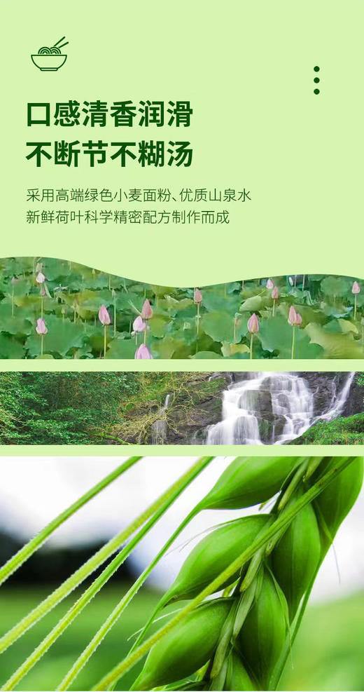 荷叶面条500g/袋（3袋）【GY】 商品图1