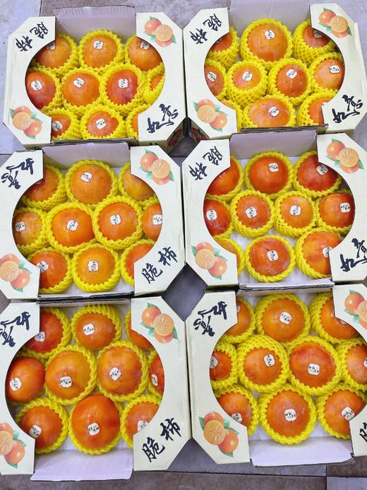如意脆柿子一箱 商品图2