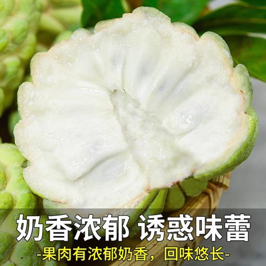 【云南凤梨释迦果】需催熟 果香浓郁 水润多汁 甜而不腻 软糯香甜 番荔枝 多种规格任选 商品图4