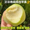 【严选】【金新农】【正鲜山东水果】山东脆甜多汁青森苹果3斤装 / 4.5斤装    （厂家直发） 商品缩略图3