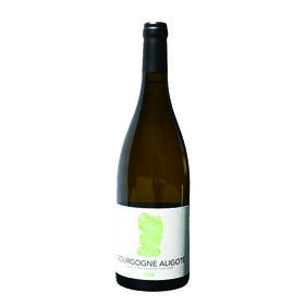 杜加皮酒庄灵感之翼阿里高特干白2022 Domaine Dugat-Py Les Ailes Inspirée  Bourgogne Aligoté