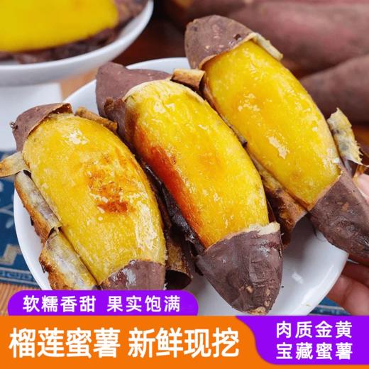 【榴莲蜜薯】蜜薯中的“猫山王” 犹如榴莲肉般软糯丝滑 薯香四溢 烤熟后果肉金黄灿灿 4种规格任选 商品图0