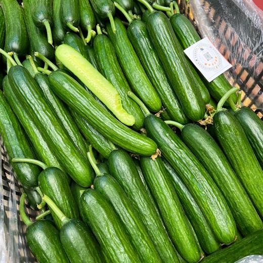 小黄瓜 清香脆甜 嘎嘣脆 商品图1