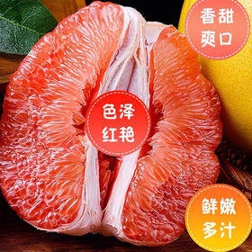 猫王山特级柚10斤左右（3个）【GY】