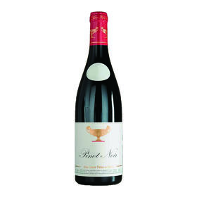 大金杯酒庄黑皮诺红葡萄酒 2023 Dornaine Gros Fr è re & Scur PINOT NOIR 2023