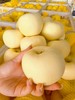 【严选】【金新农】【正鲜山东水果】山东皮薄肉厚鲜嫩香甜奶油富士苹果4.5斤 / 8.5斤   （厂家直发） 商品缩略图4