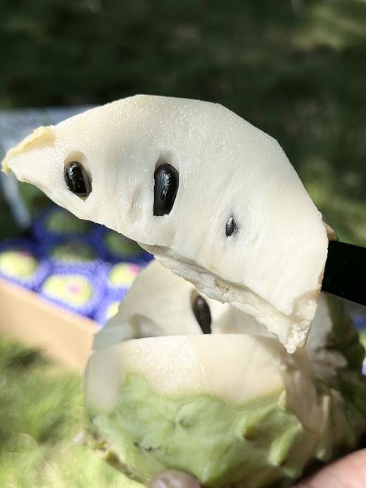 凤梨释迦果 商品图1