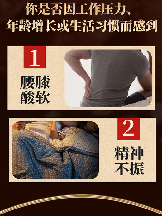 茅太医鹿阳强肾胶囊正品官方旗舰店温补肾阳腰膝酸软畏寒肢冷3盒装 商品图4