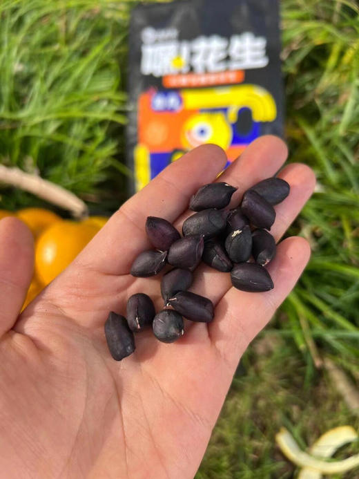 逐南味花生 商品图5