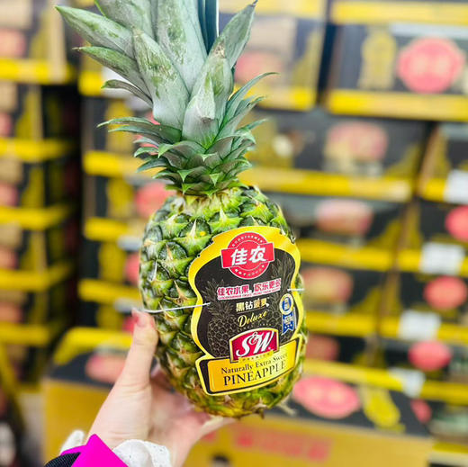佳农黑钻凤梨1.5kg+  超大果 商品图0