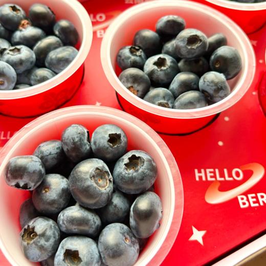 【云南花香蓝莓】花香蓝莓脆甜可口，自然成熟营养超丰富！100g/杯*5 礼盒款！ 商品图5