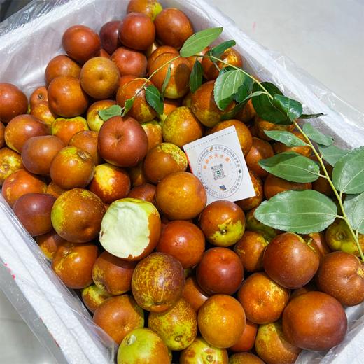 牛奶冬枣 又脆又甜 商品图3