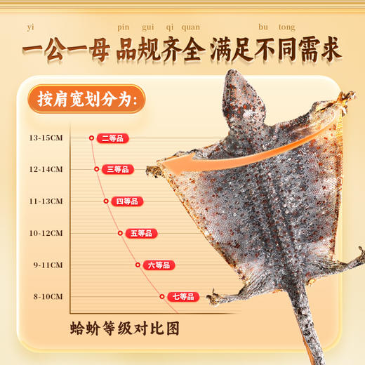 康美药业蛤蚧 中药饮片蛤蚧药材一对公母泡酒煲汤正品 商品图6