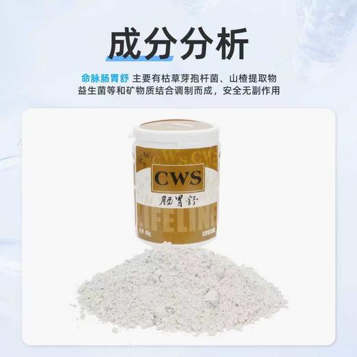 【治疗肠胃炎】肠胃舒：治疗肠胃炎、拉稀、侧浮水 商品图4