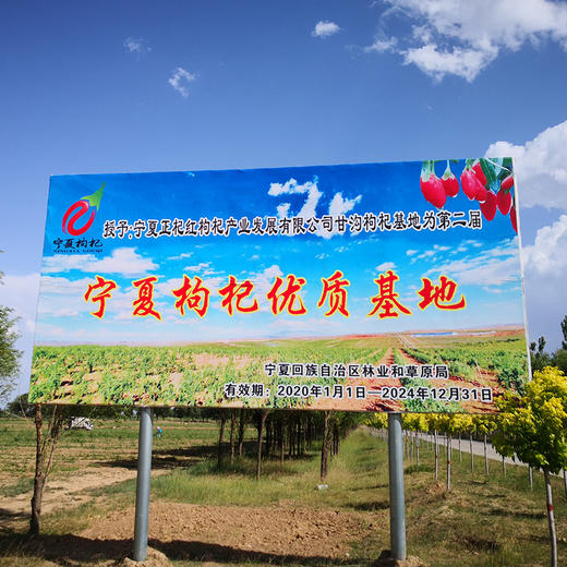 【宁夏】特级头茬枸杞瓶装 商品图4