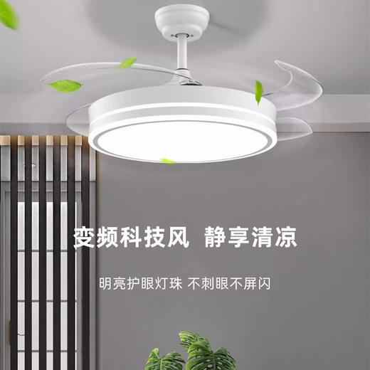 思坦库stakunft  全光谱护眼风扇灯餐厅吊扇灯 STK-50-01 商品图4