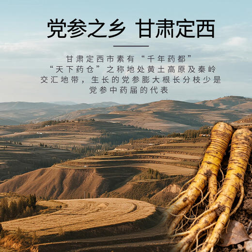 康美党参10g*20袋/盒 中药饮片独立小包装 可搭配黄芪大枣西洋参等代茶饮煲汤 商品图1