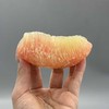 越南「红柚」1个中大果 约0.9~1.1kg 商品缩略图7