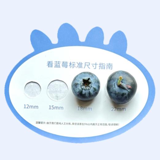 【云南花香蓝莓】花香蓝莓脆甜可口，自然成熟营养超丰富！100g/杯*5 礼盒款！ 商品图4