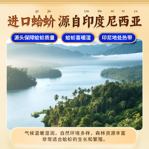 康美药业蛤蚧 中药饮片蛤蚧药材一对公母泡酒煲汤正品 商品图1