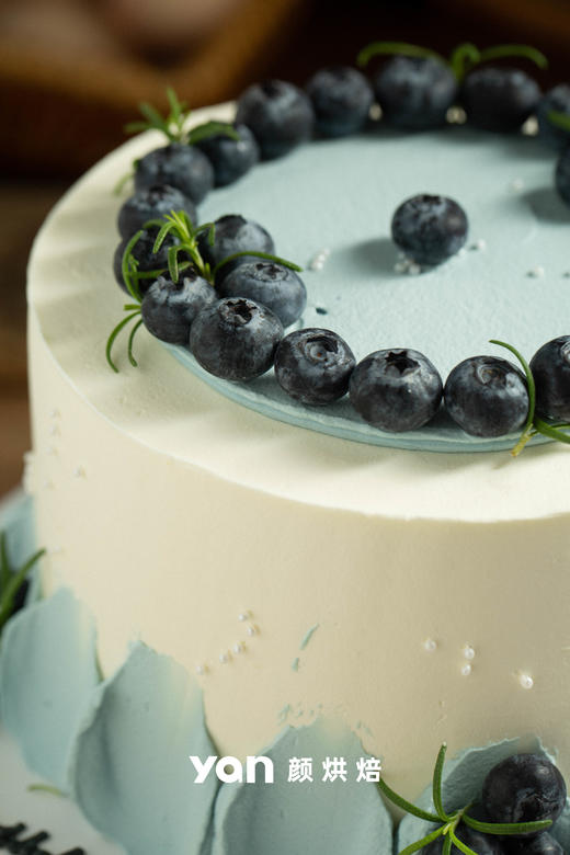 简约蓝莓—款式一 商品图2