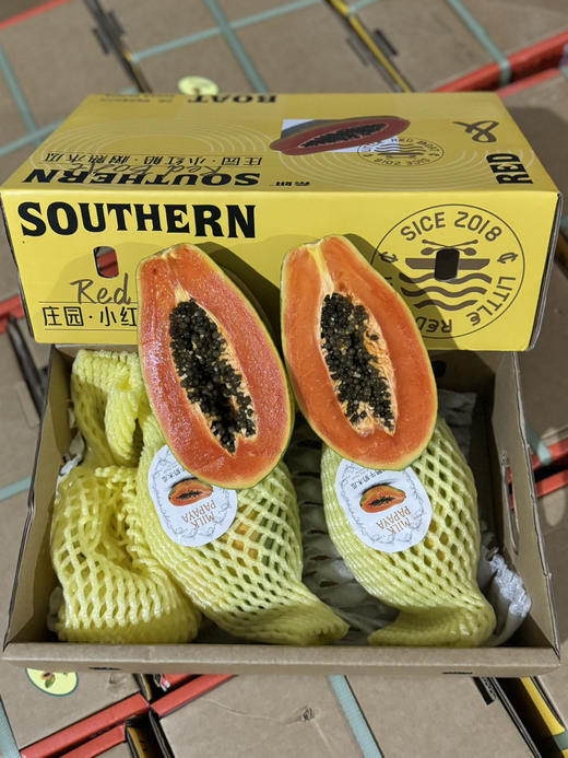 海南牛奶木瓜  更好吃的木瓜出现了 商品图7