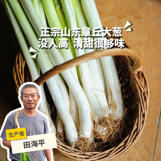 生态章丘大葱 | 合作生产*Ecological Scallion | Partner Production 商品图0