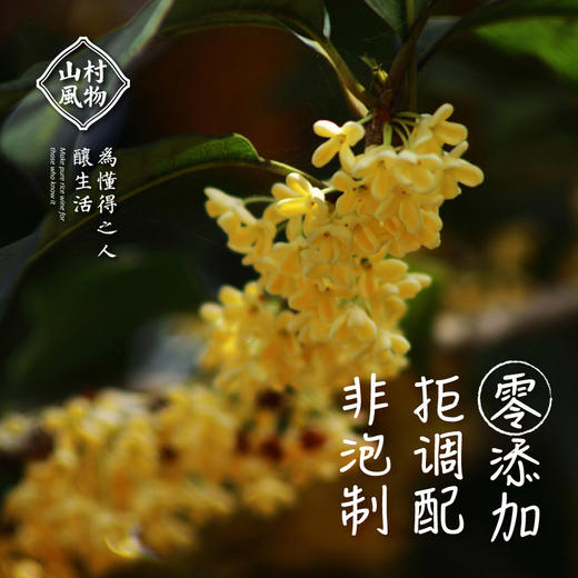 正安优选·山村风物桂花米酒500ml【入口食品不支持7天无理由退货】 商品图2