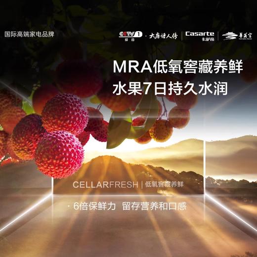 卡萨帝【星悦】原石零嵌入大容量四开门超薄三系统家用一级能效家用冰箱 551升BCD-551WLCTDM4GDU1【粤湾】【双十一】 商品图4