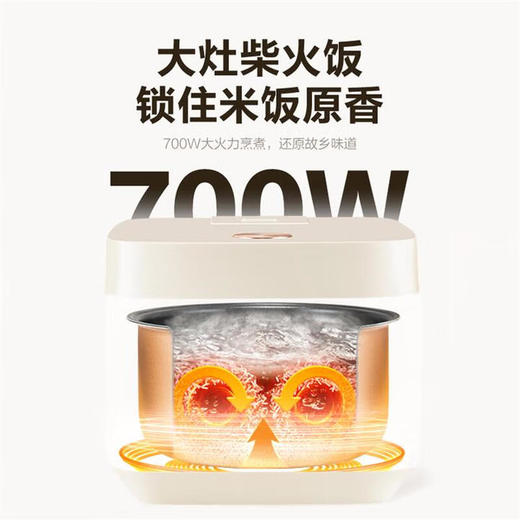 【分仓直发包邮】爱仕达米魔方系列电饭煲AR-F40E858 4L 商品图5