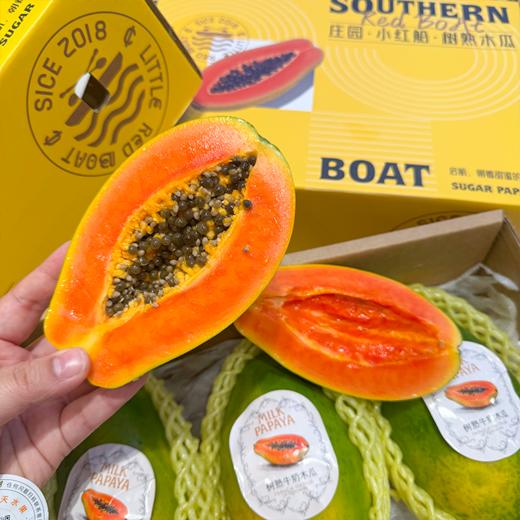 海南牛奶木瓜  更好吃的木瓜出现了 商品图1