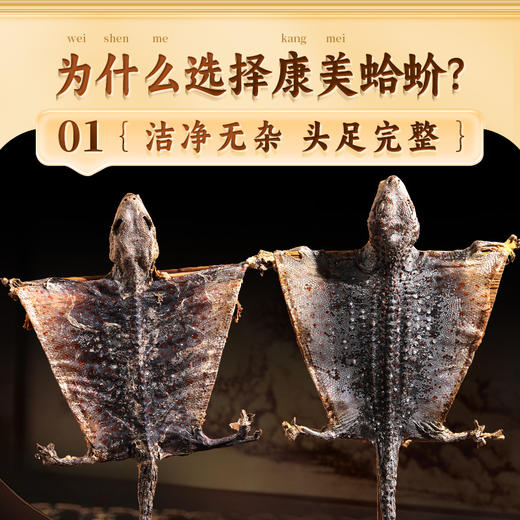 康美药业蛤蚧 中药饮片蛤蚧药材一对公母泡酒煲汤正品 商品图2