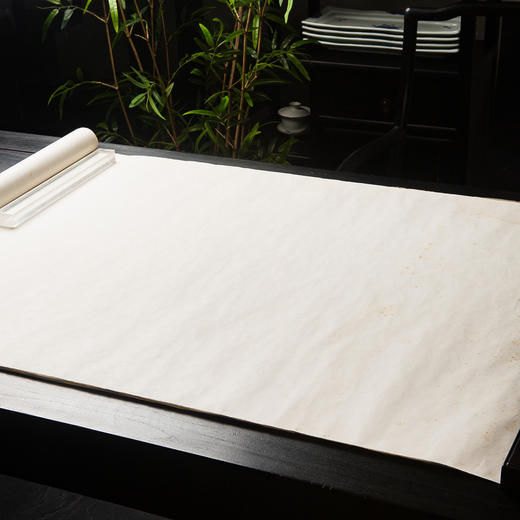 清末民国上海九华堂厚记制“四尺煮捶笺”（单张） 商品图3