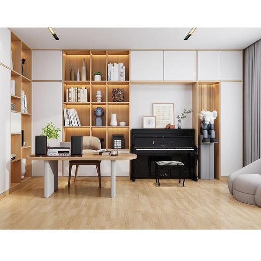 国际版本 飞利浦&Britz HIFI 电子管胆CD蓝牙桌面复古组合音响 商品图8