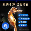 康美三斑海马中药饮片 一公一母正品海马泡酒药材海马干可搭海马田七汤 多规格 商品缩略图8